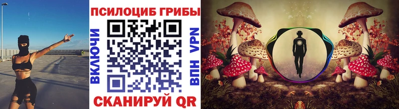 купить  цена  Прокопьевск  Псилоцибиновые грибы Psilocybine cubensis 